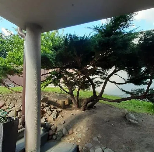 Rosse בית אירוח גדנסק