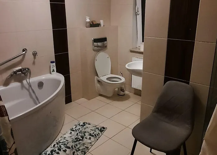 Проживание в семье Rosse