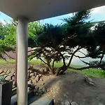 Rosse Проживание в семье Гданьск